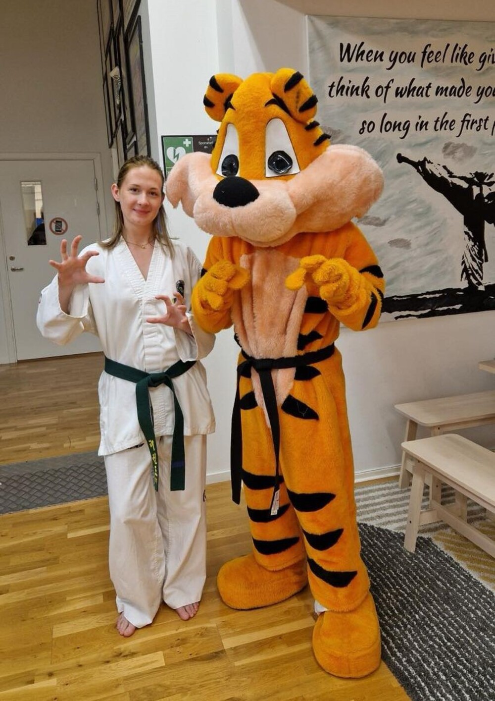 Tigergradering fortsättning 30 november 2025